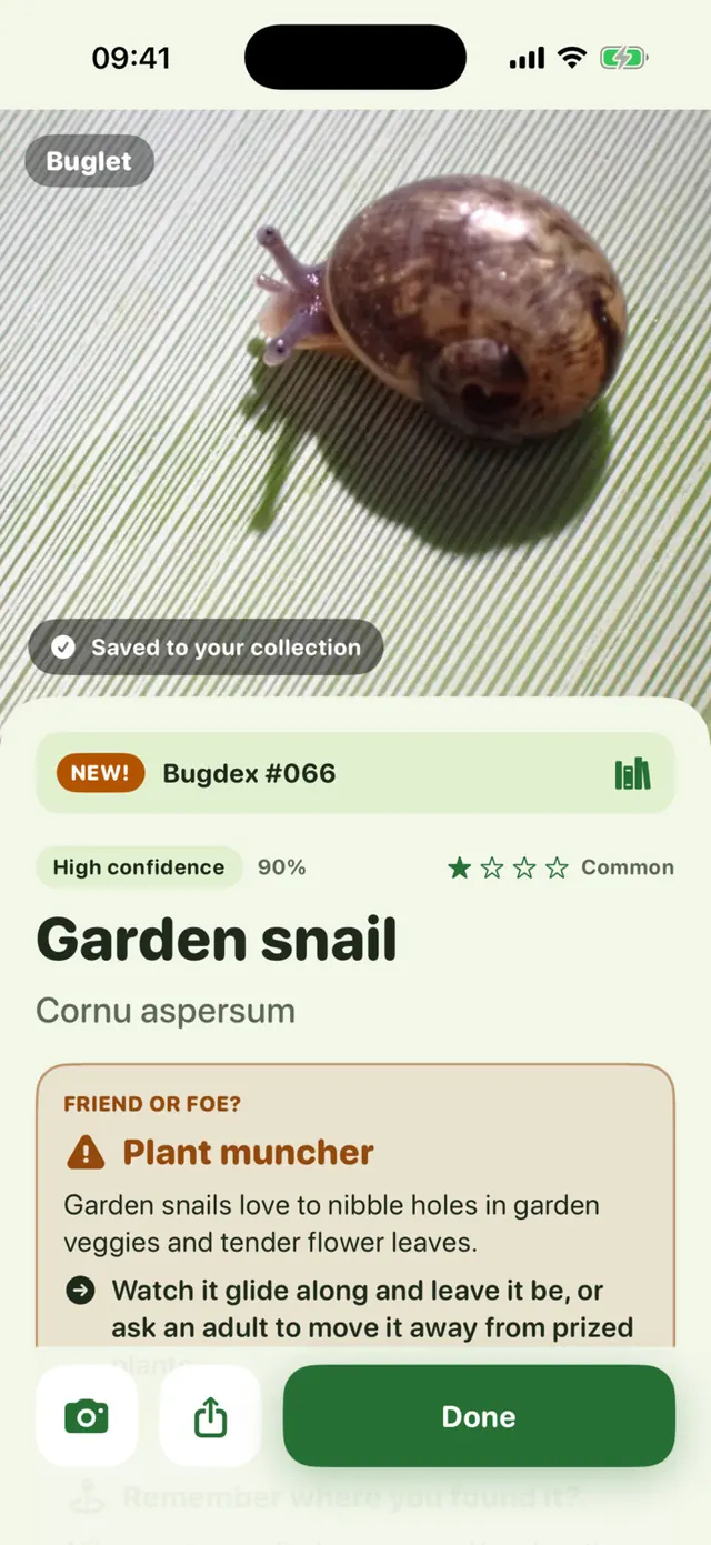 Buglet app screen: A garden snail: a plant muncher, with a kind next step