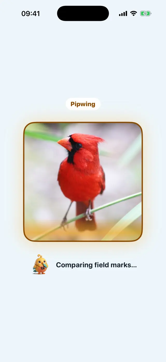 Pipwing app screen: Pip compares field marks while it scans