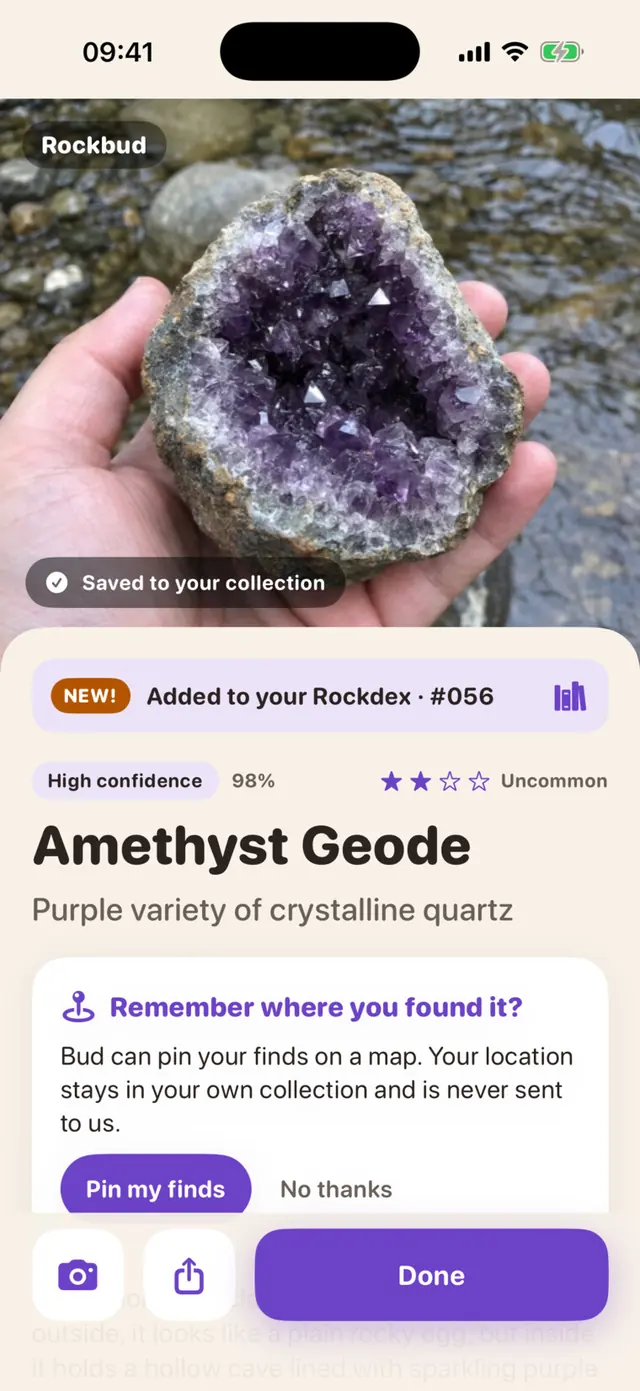 Rockbud app screen: An amethyst geode, added to the Rockdex