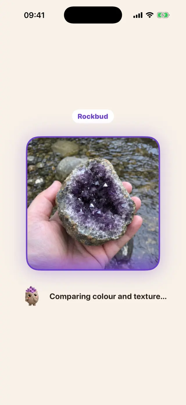 Rockbud app screen: Bud compares color and texture while it scans