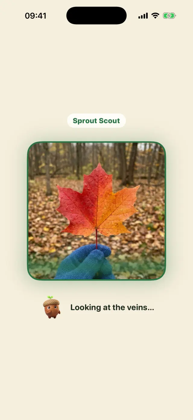 Sprout Scout app screen: Sprig looks at the veins while it scans
